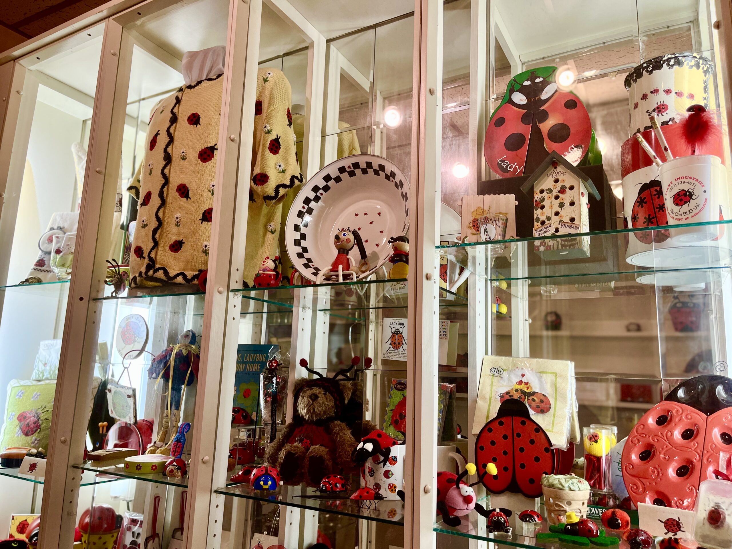 Ladybug Room 2